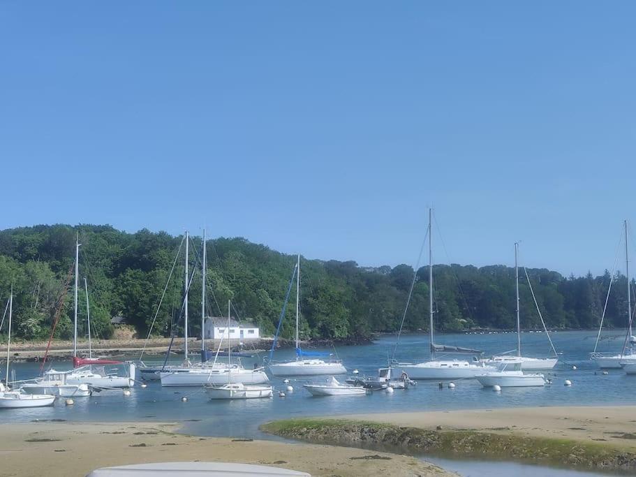 Appartement Nature Et Mer. Moëlan-sur-Mer Eksteriør bilde