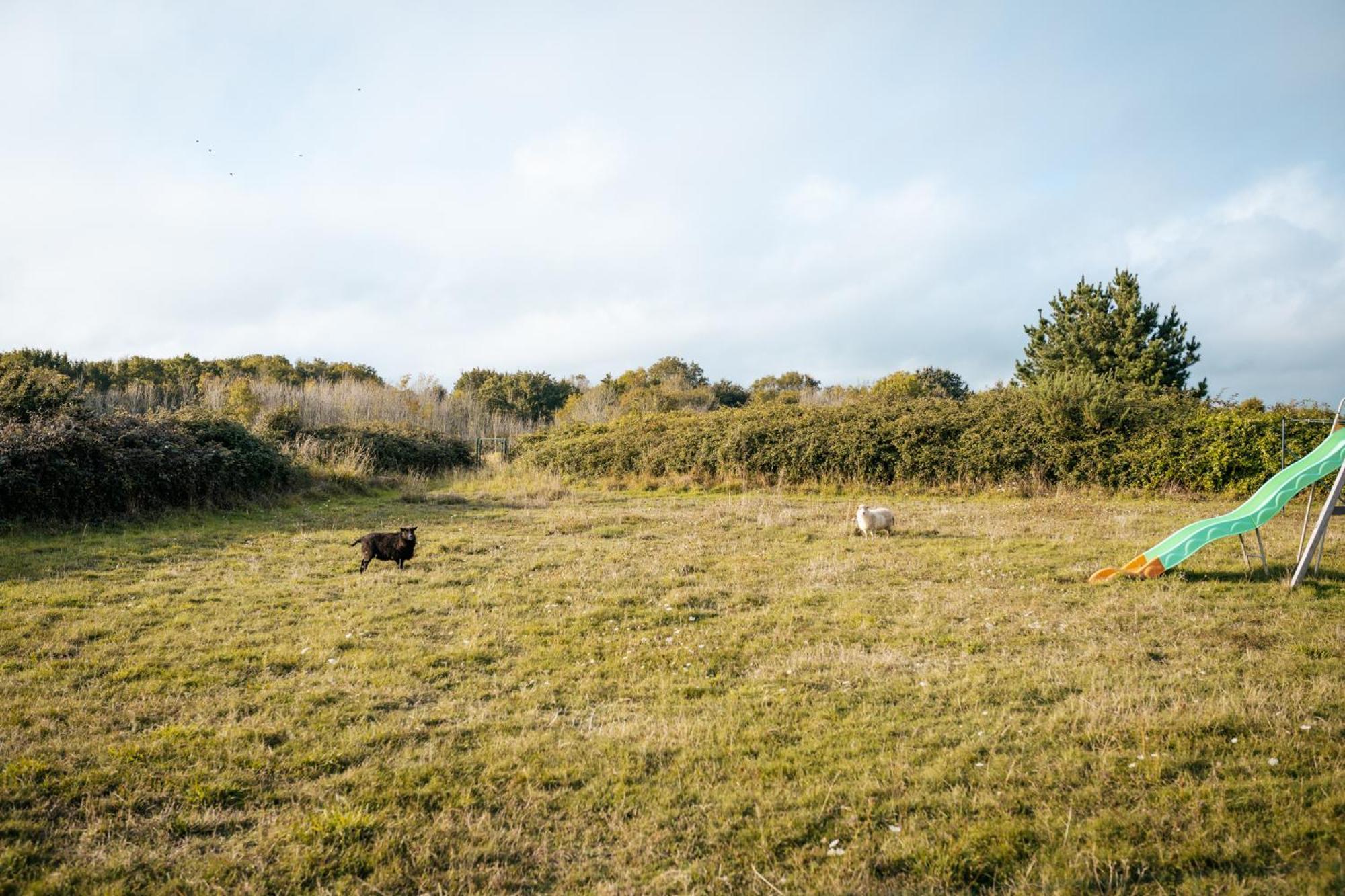 Appartement Nature Et Mer. Moëlan-sur-Mer Eksteriør bilde